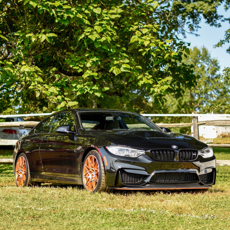 The ///M car you have to water like a potted plant